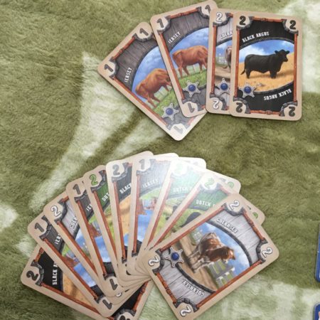 グレートウエスタントレイルの牛カードの写真画像